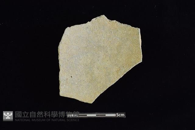 陶片藏品圖，第2張