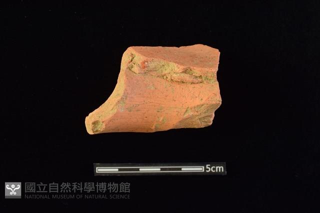 陶罐藏品圖，第2張