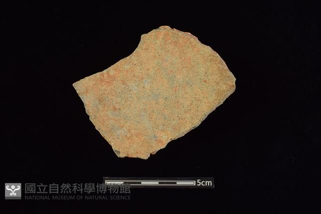 陶片藏品圖，第2張