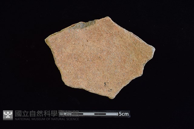 陶片藏品圖，第2張