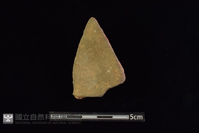 陶片藏品圖，第2張