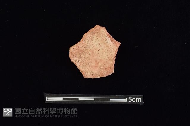 陶片藏品圖，第2張