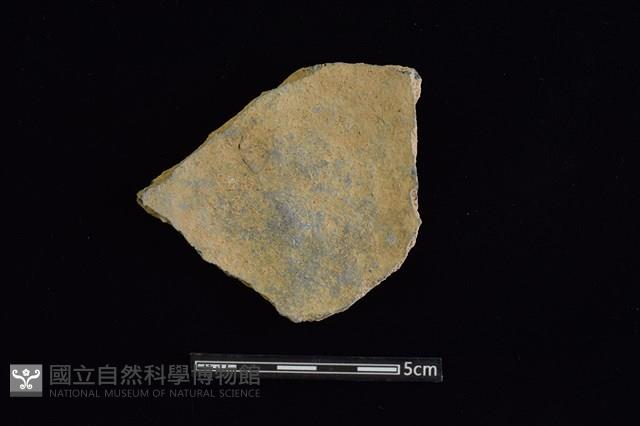 陶片藏品圖，第2張