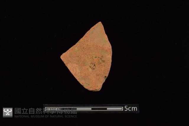 陶片藏品圖，第2張