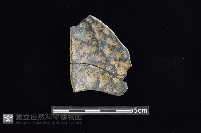 陶片藏品圖，第2張