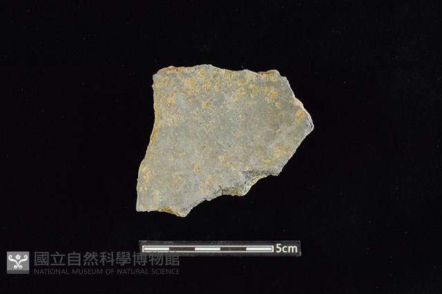 陶片藏品圖，第2張