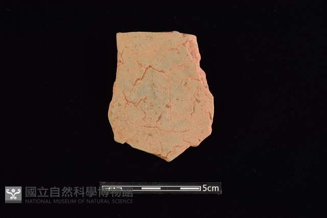 陶片藏品圖，第2張