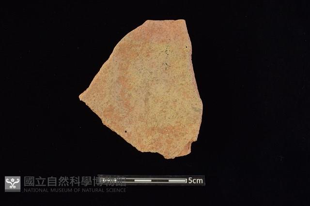 陶片藏品圖，第2張