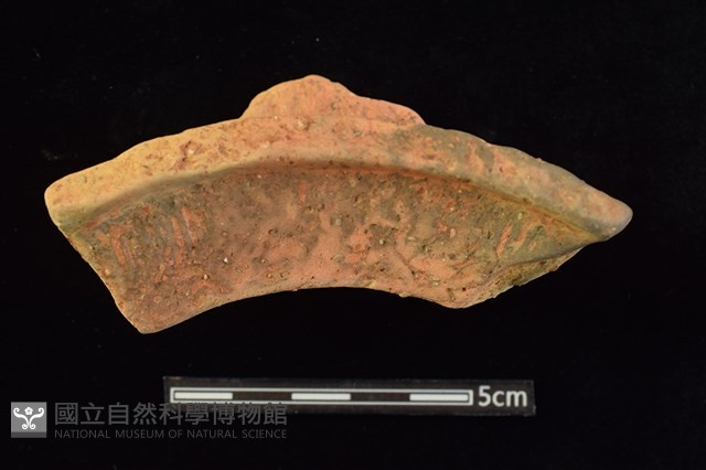 陶罐藏品圖，第2張
