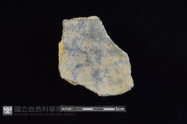 陶片藏品圖，第2張