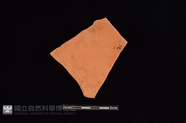 陶片藏品圖，第2張