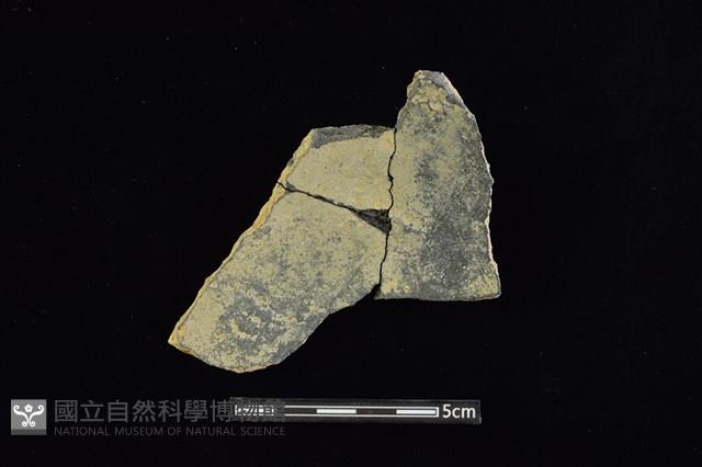 陶片藏品圖，第2張