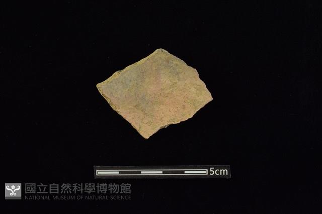 陶片藏品圖，第2張