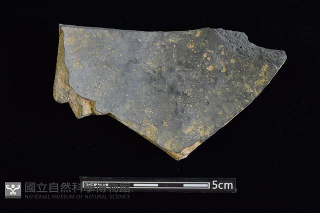 陶片藏品圖，第2張