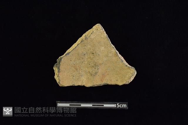 陶片藏品圖，第2張