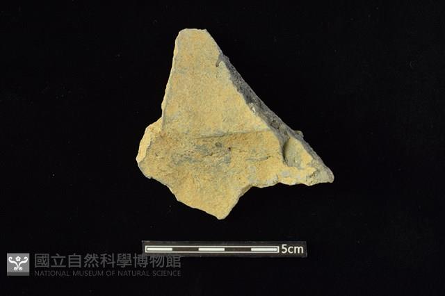 陶罐藏品圖，第2張