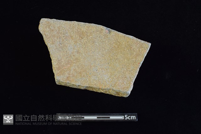陶片藏品圖，第2張