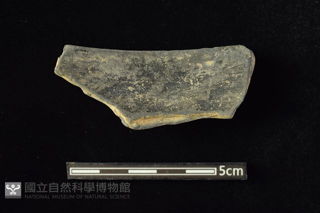 陶缽 藏品圖，第2張