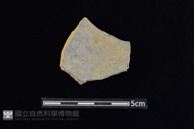 陶片藏品圖，第2張