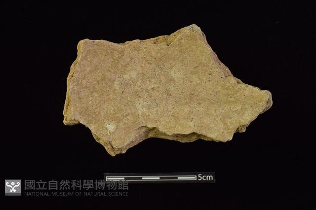 陶片藏品圖，第2張