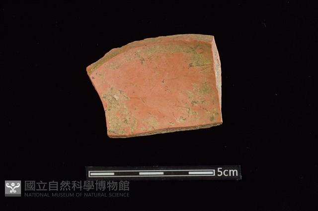 陶片藏品圖，第2張