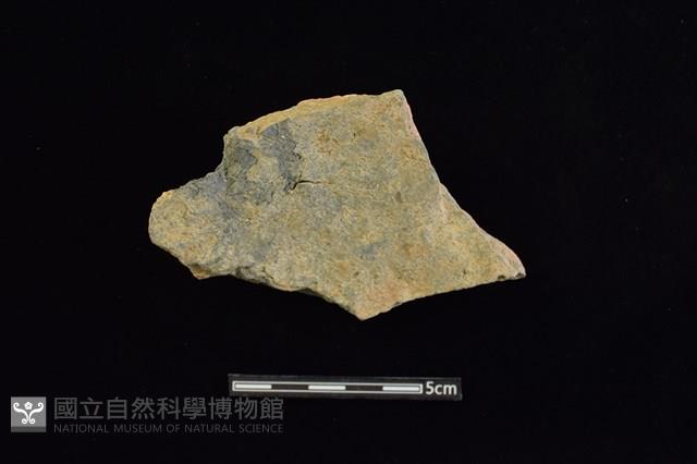 陶片藏品圖，第2張