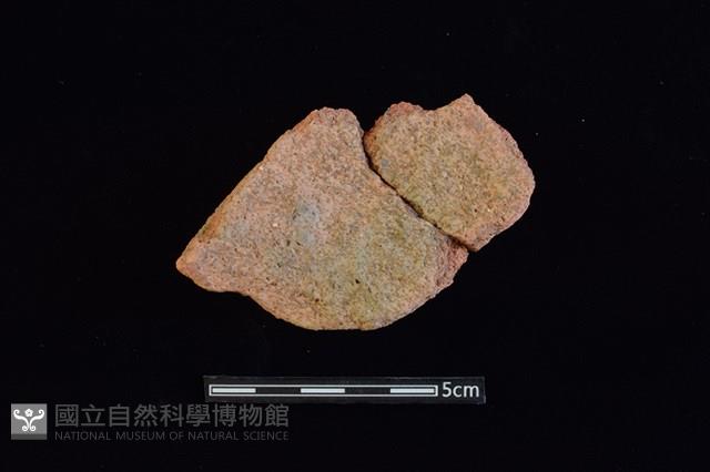 陶片藏品圖，第2張