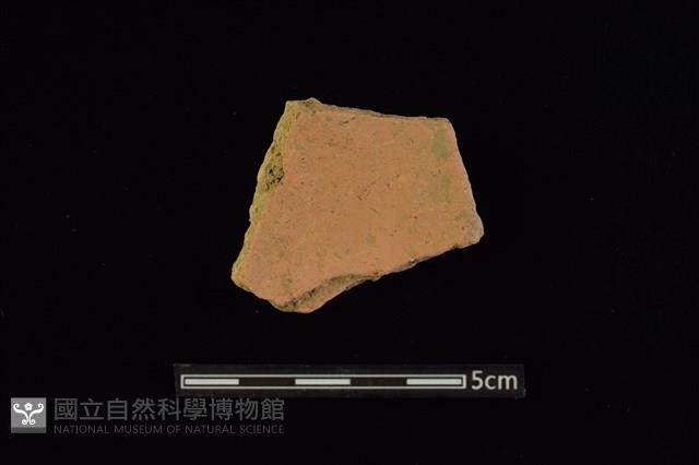 陶片藏品圖，第2張