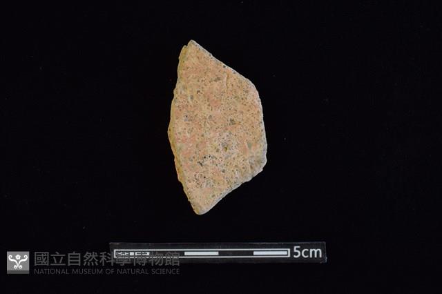 陶片藏品圖，第2張