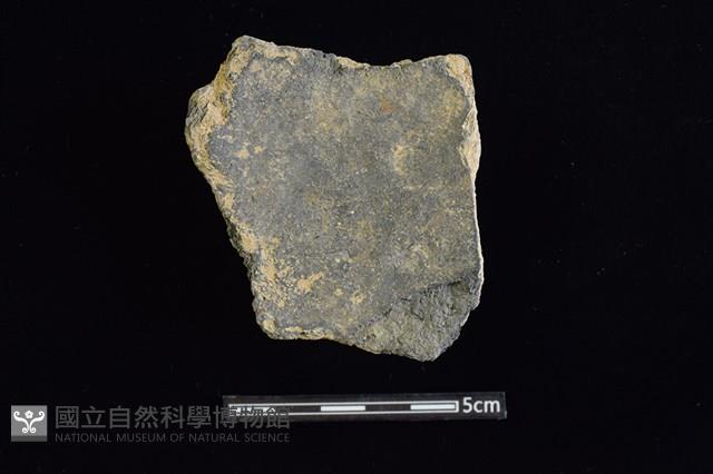 陶片藏品圖，第2張