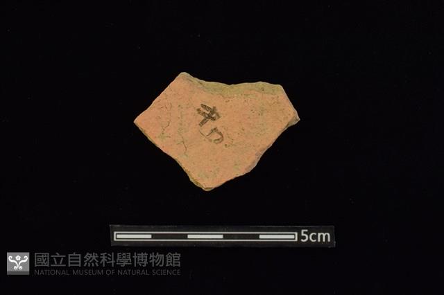 陶片藏品圖，第2張