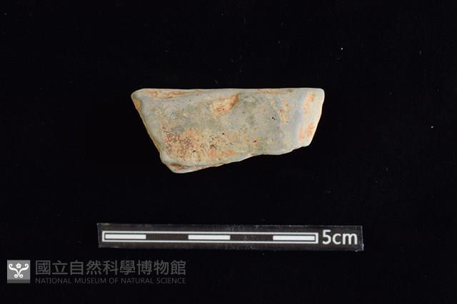 陶片藏品圖，第2張