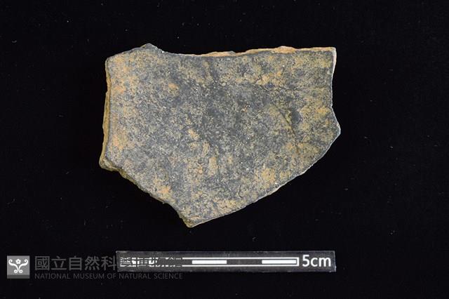 陶片藏品圖，第2張