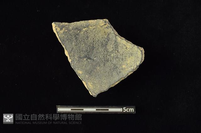 陶罐藏品圖，第2張