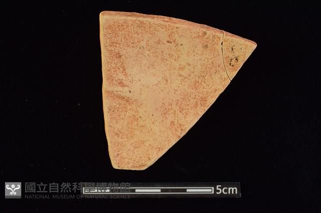 陶片藏品圖，第2張