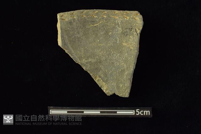 陶容器藏品圖，第2張