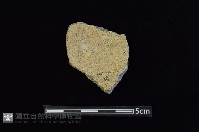 陶片藏品圖，第2張