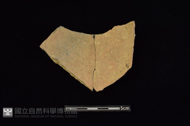 陶片藏品圖，第2張