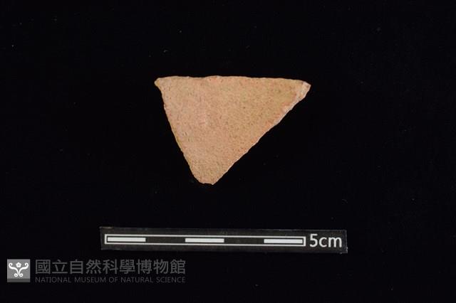 陶片藏品圖，第2張