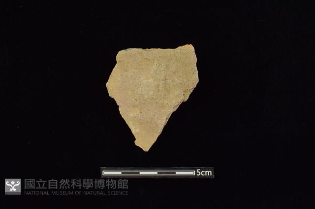 陶片藏品圖，第2張