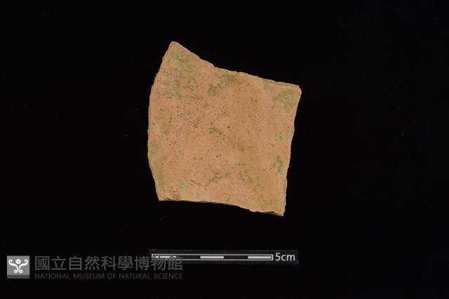 陶片藏品圖，第2張