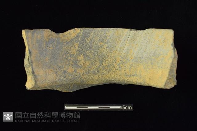 陶罐藏品圖，第2張