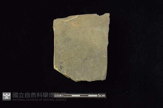 戈形器藏品圖，第2張