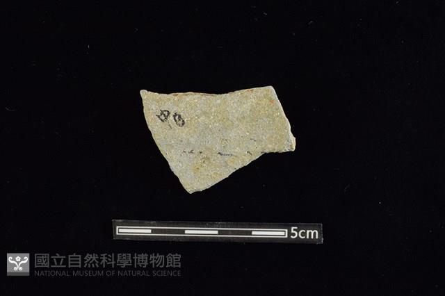 陶片藏品圖，第2張