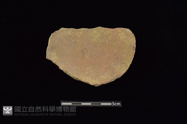 陶片藏品圖，第2張