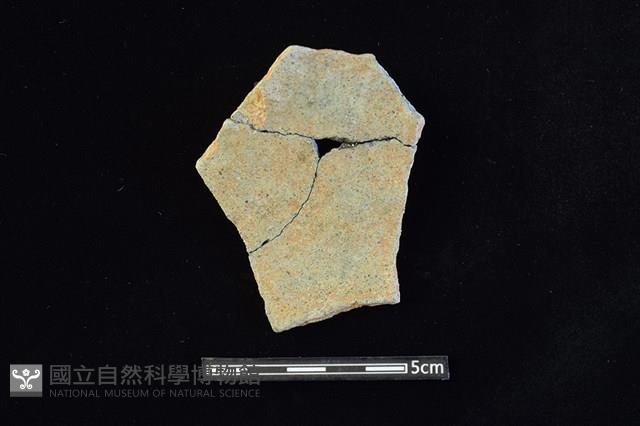 陶片藏品圖，第2張