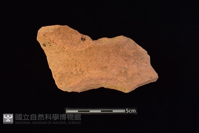 陶罐藏品圖，第2張
