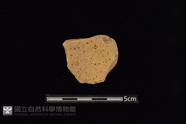 陶片藏品圖，第2張