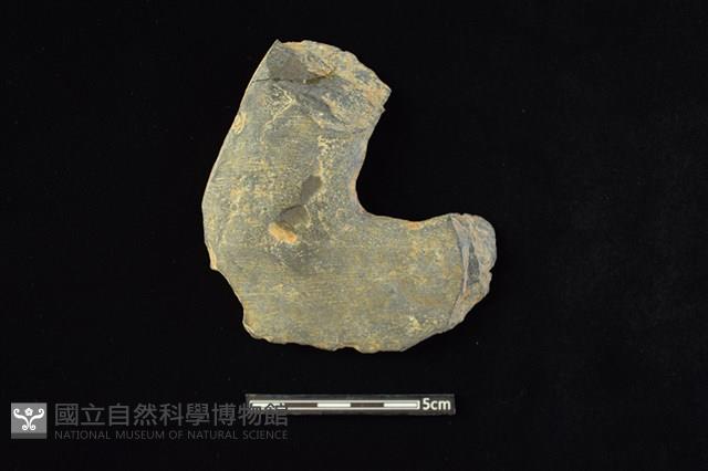 靴形石刀藏品圖，第2張