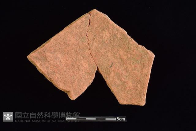 陶片藏品圖，第2張